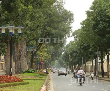 Bán nhà Nguyễn Tri Phương, Ba Đình Hà Nội