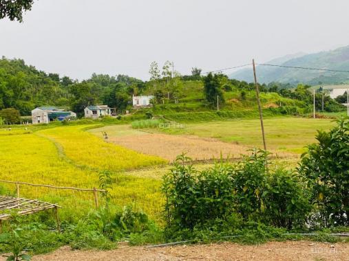 Chỉ với 1.5 tỷ sở hữu ngay 1ha đất nghỉ dưỡng tại Cao Phong, Hòa Bình