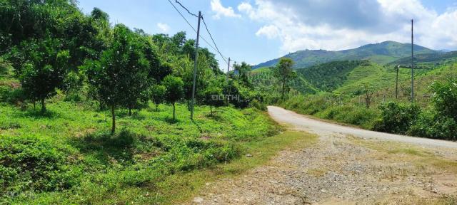 Cần bán mảnh đất hơn 8000m2 rsx tại Thu Phong, Cao Phong