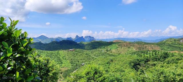 Cần bán mảnh đất hơn 8000m2 rsx tại Thu Phong, Cao Phong