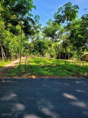 Bán đất mặt tiền đường nhựa thông Phú An Bến Cát DT 20x135m xây biệt thự nhà vườn cực đẹp