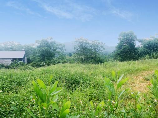 Bán lô đất nghỉ dưỡng nhà vườn 2384m2 trục chính liên thôn xã Yên Bài view đồi chè, cánh đồng