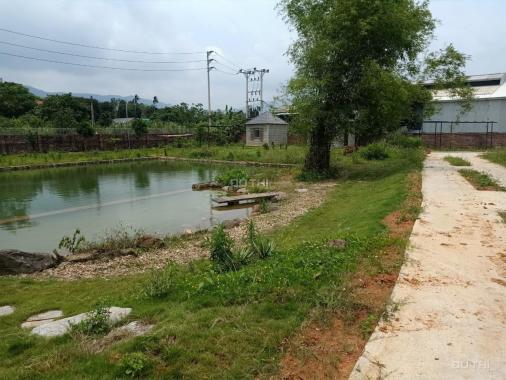 Đất nghỉ dưỡng siêu hot DT 2500m2. 3 mặt tiền thôn Hoà Thạch, Quốc Oai, Hà Nội