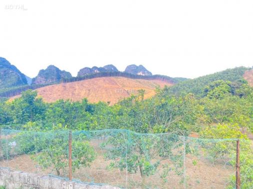 Bán đất Kim Bôi, Hòa Bình bám Sông Bôi giá cực rẻ diện tích 2110m2. Giá rẻ