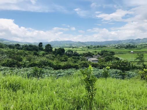 Bán đất nghỉ dưỡng Cao Phong view đẹp