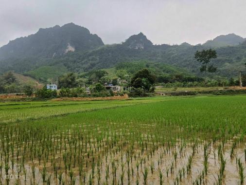 Cần bán 1 lô đất view cực đẹp tại huyện Kim Bôi, Hòa Bình