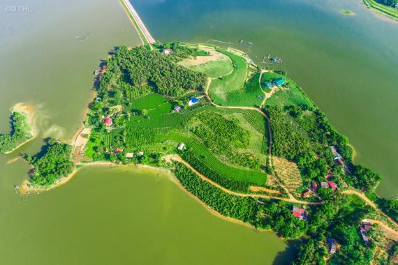 Bán 2hecta đất giữa hồ 100ha tại Thanh Thủy, Phú Thọ giá 1,1tr/m2 giá trị nghỉ dưỡng cực cao