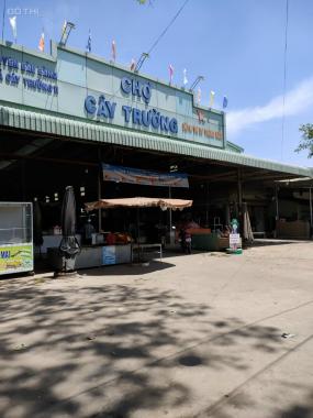 Bán đất sổ đỏ giá rẻ công chứng ngay tại KCN Bàu Bàng, Bình Dương