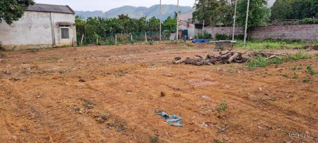 Bán đất xã Yên Bình, Thạch Thất đầu tư giá rẻ chỉ vài triệu 1 m2. Gần khu công nghệ cao Hòa Lạc