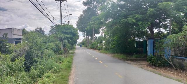 Cần bán đất đường Bến Đình - Xã An Nhơn Tây - Huyện Củ Chi