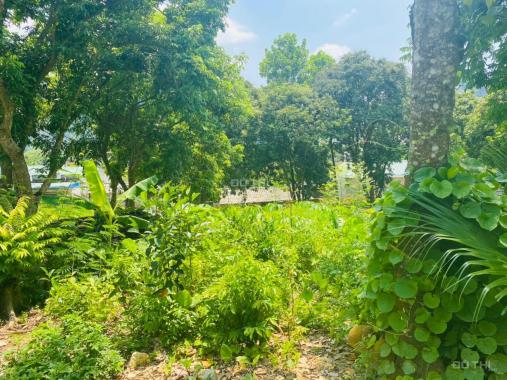 Bán đất làm nhà vườn gần sân golf Phượng Hoàng tại Lương Sơn, Hòa Bình