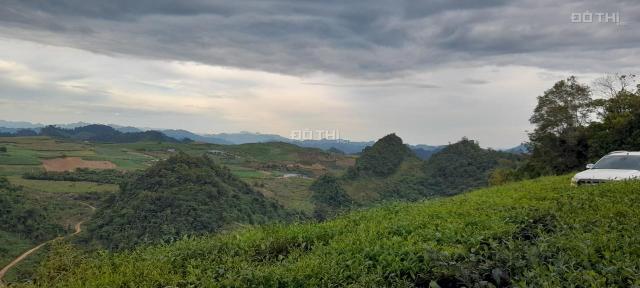 Cần bán 15 ha thị trấn Nông Trường Mộc Châu, Sơn La