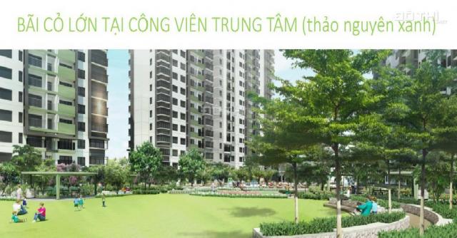 Duy nhất 2 căn duplex trên không, thông tầng view đẹp nhất tại khu Emerald Celadon City Tân Phú