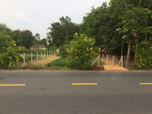 Cần bán đất 596m2 có 300m2 thổ cư mặt tiền Nguyễn Thị Rành, xã Nhuận Đức, huyện Củ Chi