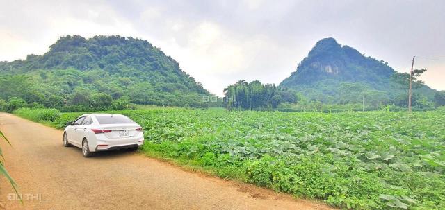 Bán đất tại Xã Tú Sơn, Kim Bôi, Hòa Bình diện tích 3624m2 giá 2.10 tỷ