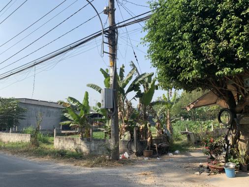 Bán đất 1793m2 mặt tiền Nguyễn Thị Rành, xã An Nhơn Tây, huyện Củ Chi