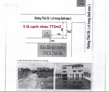 Bán gấp 1020m2 nhà đất phân lô xã Thái Hà, Thái Thụy, Thái Bình - Có bể bơi, sân vườn