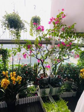 Cần bán nhanh căn hộ Imperia Garden, tòa A, BC Đông Nam thoáng mát + View đường Nguyễn Huy Tưởng