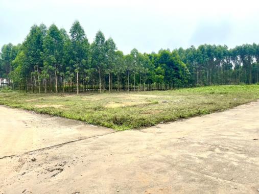 Bán ô đất 2 mặt tiền đẹp như tranh tại khu 10, thị trấn Phong Châu, huyện Phù Ninh, Phú Thọ