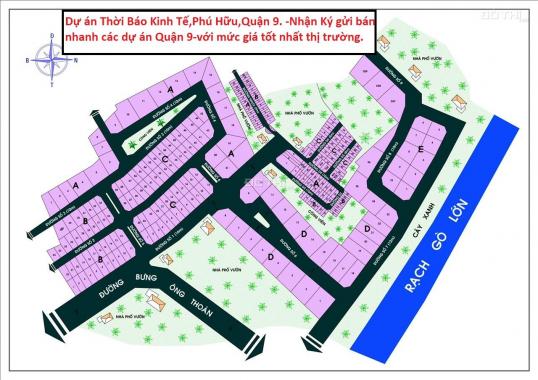 Bán đất nền dự án Thời Báo Kinh Tế, Phú Hữu, Quận 9, sổ đỏ - giá tốt cạnh tranh nhất 11/2021