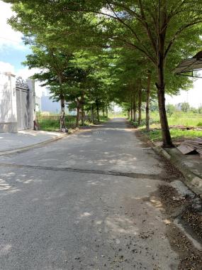 Bán đất nền dự án Thời Báo Kinh Tế, đường Bưng Ông Thoàn, Phú Hữu, quận 9, nhiều nền giá tốt