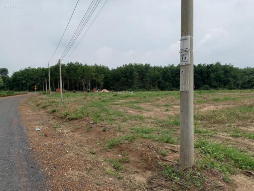 Bán đất tại đường Quốc Lộ 13, Xã Lộc Thịnh, Lộc Ninh, Bình Phước diện tích 300m2 giá 500 triệu