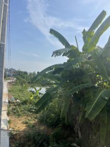 Chính chủ cần bán gấp đất thổ cư tại khu 3, phường Vân Phú, TP Việt Trì