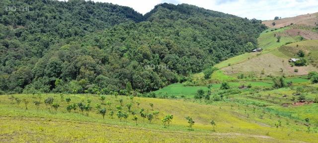 Bán trang trại đất 10ha, huyện Mộc Châu, giá rẻ, vị trí đẹp, giá chỉ năm trăm triệu