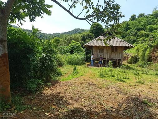 Bán gấp 4194m2 có 400m2 TC tại Cao Phong - Hòa Bình thích hợp làm homestay, nghỉ dưỡng, đầu tư