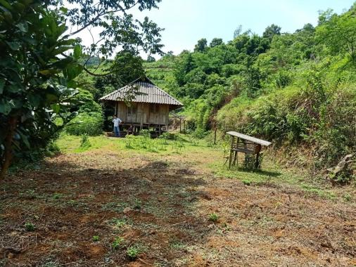 Bán gấp 4194m2 có 400m2 TC tại Cao Phong - Hòa Bình thích hợp làm homestay, nghỉ dưỡng, đầu tư