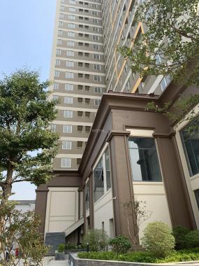 Bán căn hộ chung cư XpHomes Tân Tây Đô, Đan Phượng, Hà Nội giá 1.1 tỷ