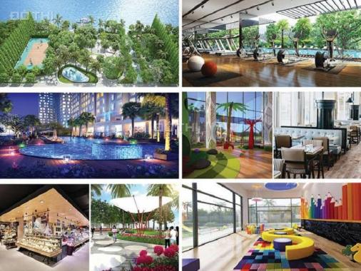 Tổng hợp một số căn hộ Hoàng Anh Riverview, Quận 2