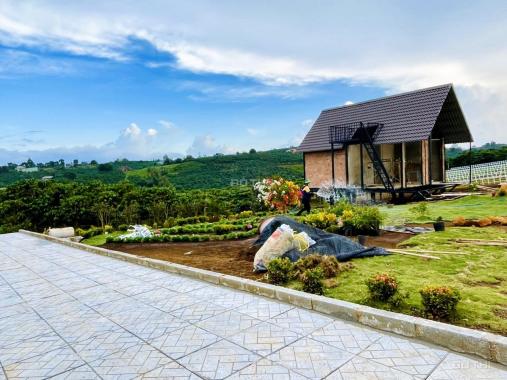 Kẹt tiền mùa dịch, bán gấp nền biệt thự view đồi xanh mát, gần chợ và UBND, bao giá thị trường