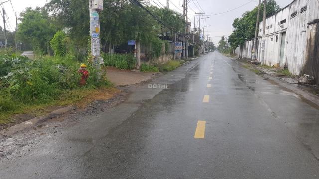 Bán đất tại đường Trịnh Như Khuê, Xã Bình Chánh, Bình Chánh, Hồ Chí Minh diện tích 196,4m2