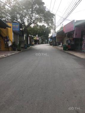 Thanh lý ngôi nhà đẹp 94m2, thổ cư 100% ấp Vườn Dừa, xã Phước Tân, TP. Biên Hòa