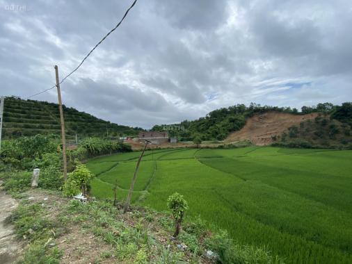 Bán lô đất thổ cư Cao Phong - Hòa Bình giá siêu rẻ
