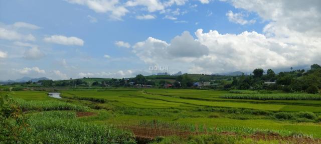 Quá rẻ đẹp để đầu tư 2100m thổ cư bám 2 mặt tiền view tuyệt đẹp giá chỉ 650tr Cao Phong Hòa Bình