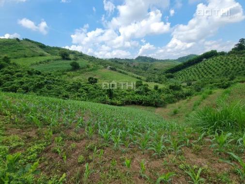 Lô đất 3000m2 đất RSX tại Cao Phong Hòa Bình bám trục liên xã giá cho các nhà đầu tư