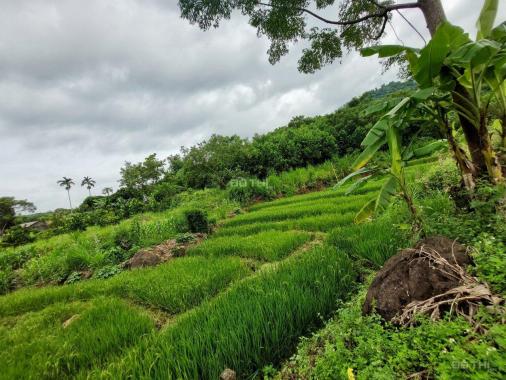 Siêu phẩm bám suối Kim Bôi, Hoà Bình giá rẻ