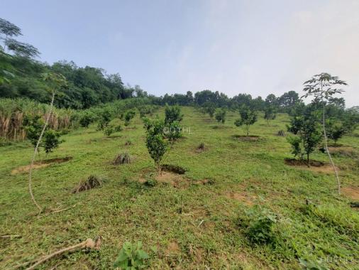 Bán đất tại Xã Bình Sơn, Kim Bôi, Hòa Bình diện tích 2000m2, giá 1,9 tỷ