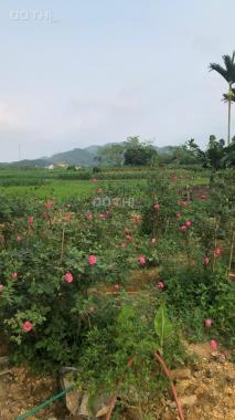 Đất nghỉ dưỡng sẵn nhà cấp 4 cùng khuôn viên, view cánh đồng, bao sổ hồng tại Yên Bình Thạch Thất