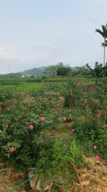 Đất nghỉ dưỡng view cánh đồng, bao sổ hồng tại Yên Bình Thạch Thất sẵn nhà cấp 4