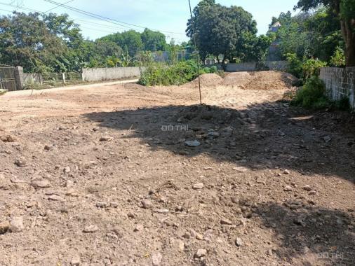 Gia đình cần bán đất tại thị trấn Ba Hàng Đồi - Lạc Thủy - Hòa Bình
