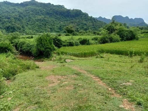 Bán đất tại xã Mỹ Hoà, Tân Lạc, Hòa Bình giá 320 triệu
