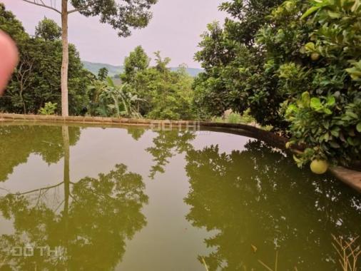 Bán đất Cao Phong 1850m2 556m2 Ont sẵn nhà ao cá vườn cây giá vài trăm triệu