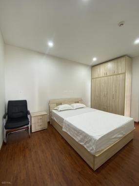 Cho thuê căn hộ cao cấp 2 ngủ SHP - Plaza, 12 Lạch Tray, Hải Phòng