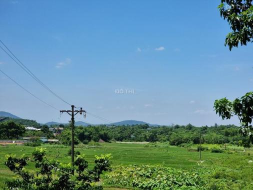 1400m2 đất vườn, view cánh đồng, Cư Yên, Lương Sơn, Hoà Bình