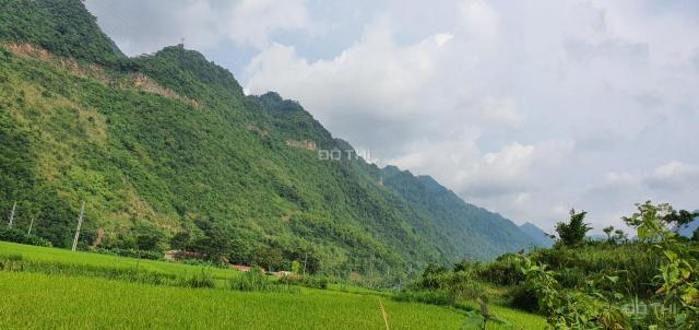 Bán đất tại Xã Mai Châu, Mai Châu, Hòa Bình diện tích 26000m2 gía đầu tư