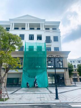 Cần bán lô góc 248m2 nhà phố shophoues Vinhomes Ocean Park