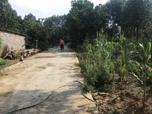 Bán đất tại đường 1, Xã Phúc Tiến, Phú Xuyên, Hà Nội diện tích 100m2 giá 4 triệu/m2